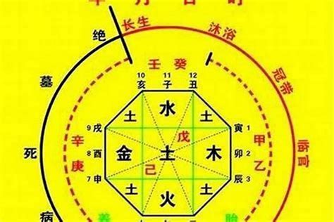 八字十神查詢|生辰八字算命、五行喜用神查詢（免費測算）